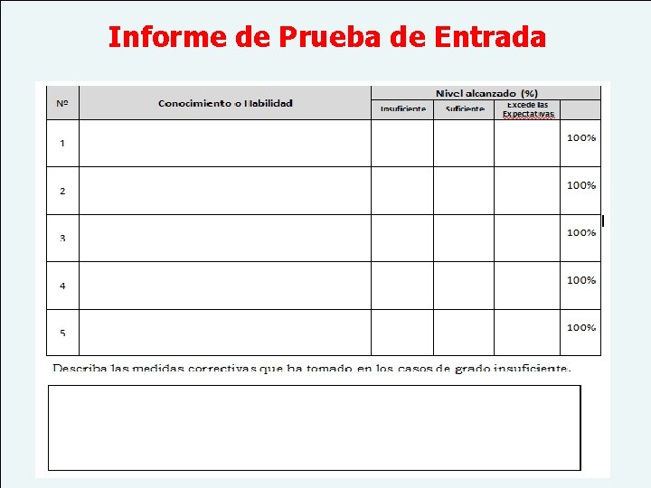 Informe de Prueba de Entrada 