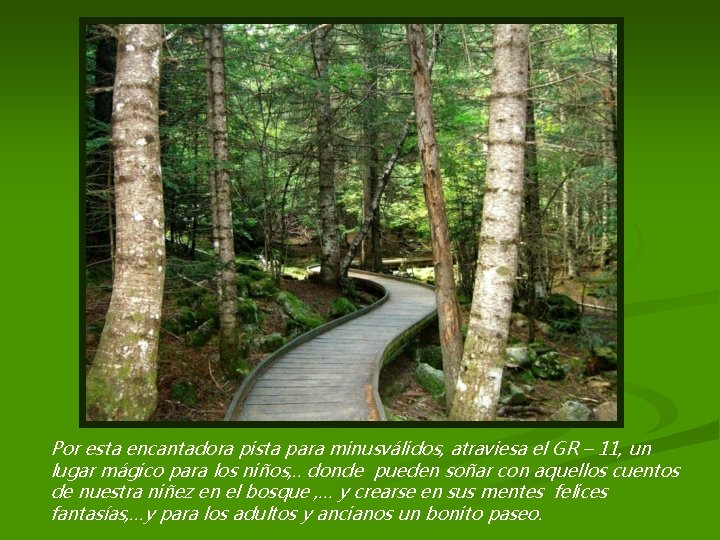 Por esta encantadora pista para minusválidos, atraviesa el GR – 11, un lugar mágico Por esta encantadora pista para minusválidos, atraviesa el GR – 11, un lugar mágico