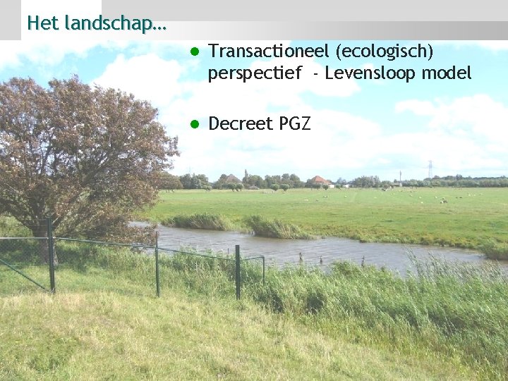 Het landschap… l Transactioneel (ecologisch) perspectief - Levensloop model l Decreet PGZ 