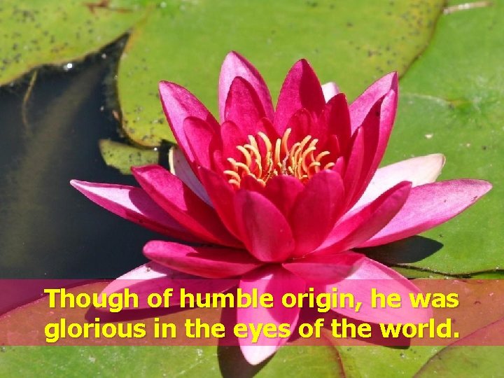Though of humble origin, he was glorious in the eyes of the world. 