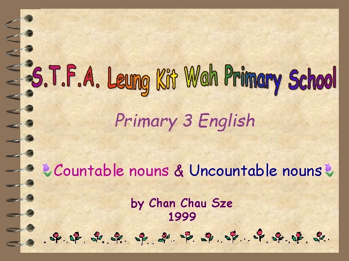 Primary 3 English Countable nouns & Uncountable nouns by Chan Chau Sze 1999 