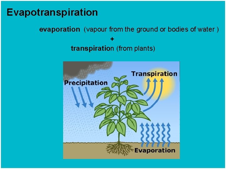 Evapotranspiration evaporation (vapour from the ground or bodies of water ) + transpiration (from