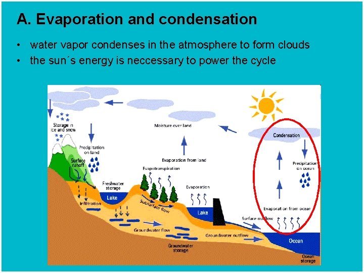 A. Evaporation and condensation • water vapor condenses in the atmosphere to form clouds