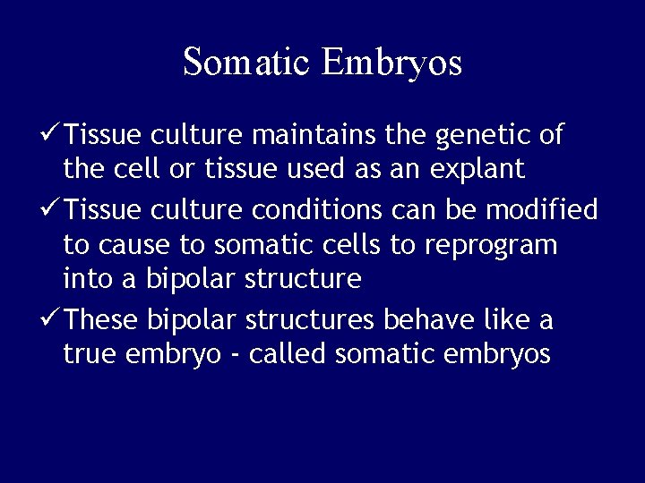 Somatic Embryos ü Tissue culture maintains the genetic of the cell or tissue used