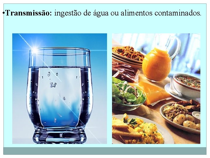  • Transmissão: ingestão de água ou alimentos contaminados. 