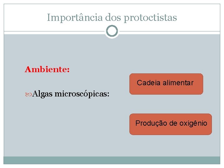 Importância dos protoctistas Ambiente: Cadeia alimentar Algas microscópicas: Produção de oxigênio 