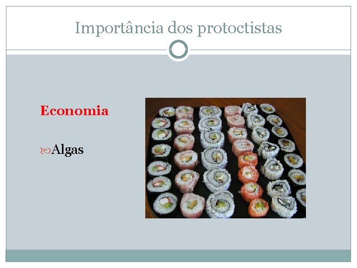 Importância dos protoctistas Economia Alimento Algas Indústria 
