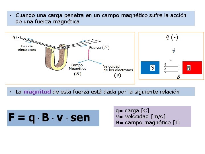  • Cuando una carga penetra en un campo magnético sufre la acción de