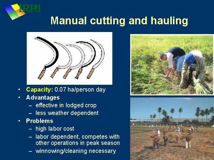 Manual cutting and hauling • Capacity: 0. 07 ha/person day • Advantages – effective