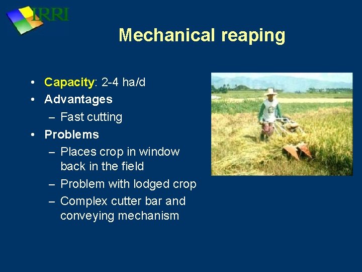 Mechanical reaping • Capacity: 2 -4 ha/d • Advantages – Fast cutting • Problems