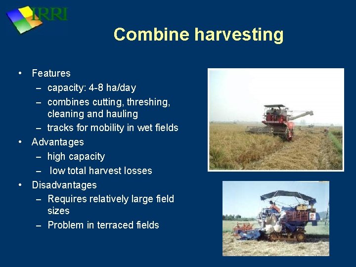 Combine harvesting • Features – capacity: 4 -8 ha/day – combines cutting, threshing, cleaning