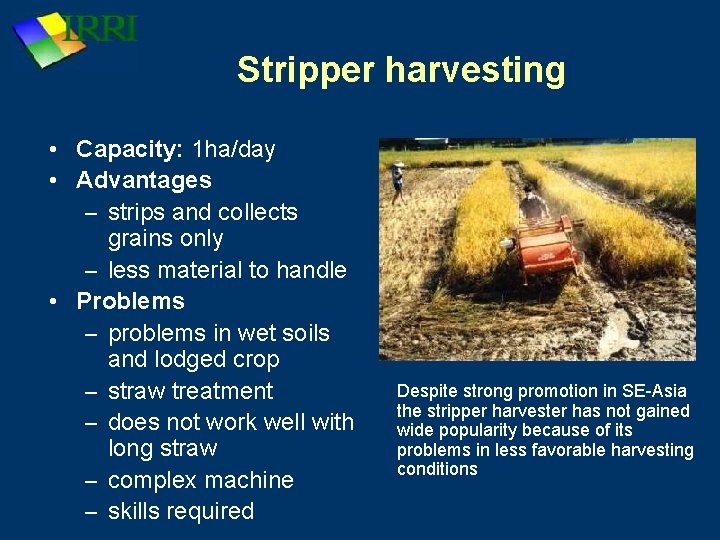 Stripper harvesting • Capacity: 1 ha/day • Advantages – strips and collects grains only