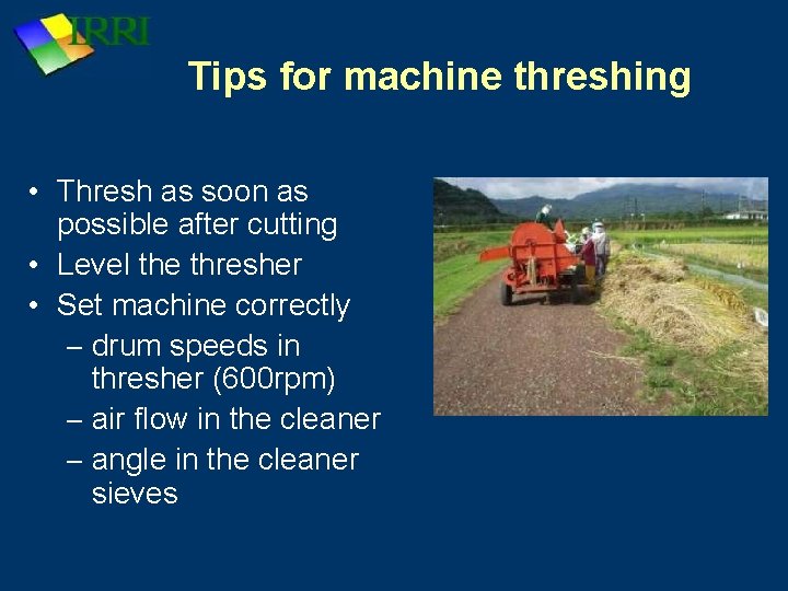 Tips for machine threshing • Thresh as soon as possible after cutting • Level