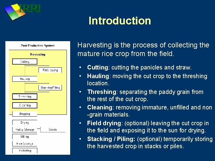 Introduction Harvesting is the process of collecting the mature rice crop from the field.