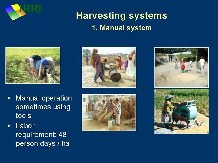 Harvesting systems 1. Manual system • Manual operation sometimes using tools • Labor requirement: