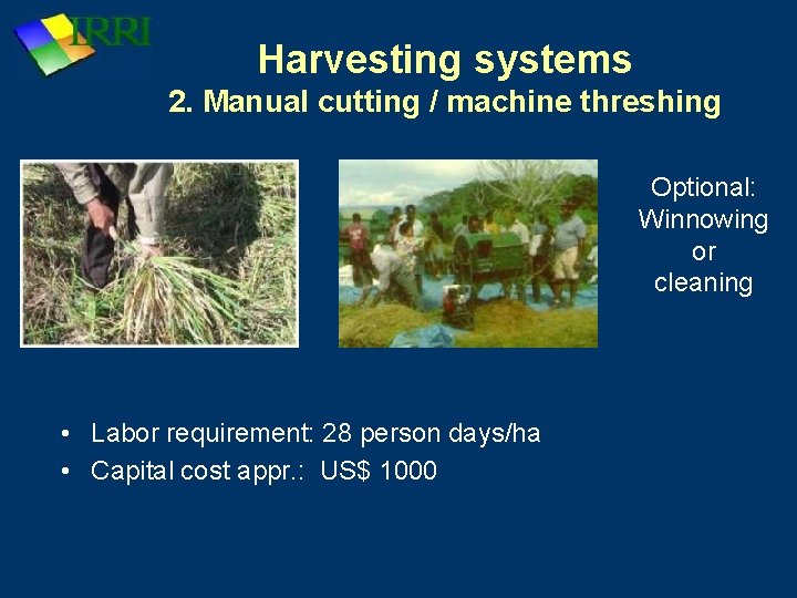 Harvesting systems 2. Manual cutting / machine threshing Optional: Winnowing or cleaning • Labor