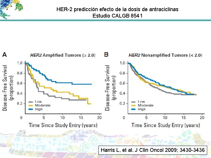 HER-2 predicción efecto de la dosis de antraciclinas Estudio CALGB 8541 Harris L, et