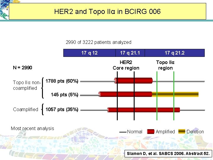 HER 2 and Topo IIα in BCIRG 006 2990 of 3222 patients analyzed 17