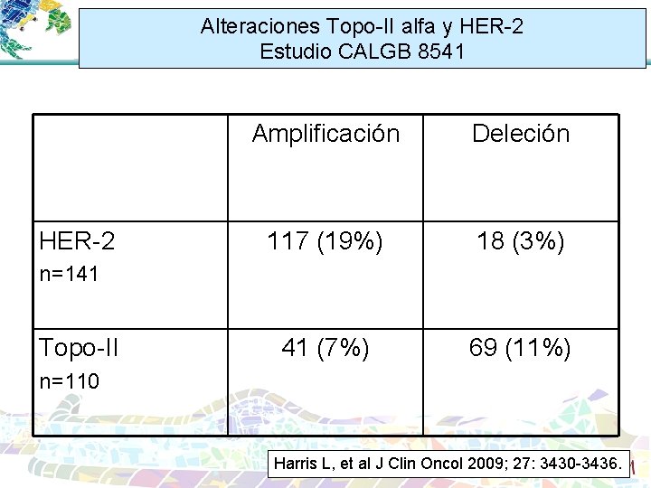 Alteraciones Topo-II alfa y HER-2 Estudio CALGB 8541 HER-2 Amplificación Deleción 117 (19%) 18