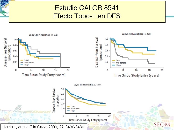 Estudio CALGB 8541 Efecto Topo-II en DFS Harris L, et al J Clin Oncol