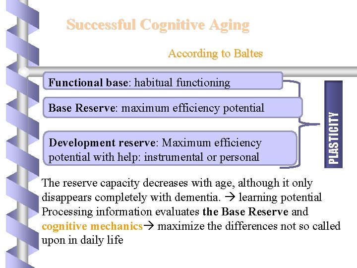 Successful Cognitive Aging According to Baltes Base Reserve: maximum efficiency potential Development reserve: Maximum