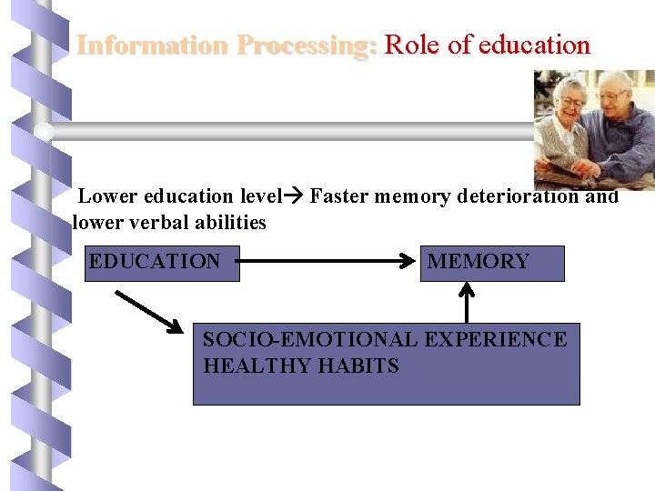 Information Processing: Role of education Lower education level Faster memory deterioration and lower verbal