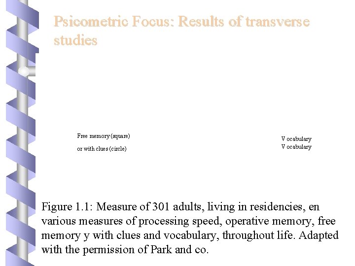 Psicometric Focus: Results of transverse studies Free memory (square) or with clues (circle) Vocabulary