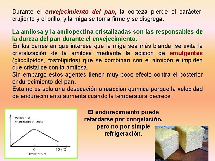 Durante el envejecimiento del pan, la corteza pierde el carácter crujiente y el brillo,