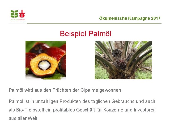 Ökumenische Kampagne 2017 Beispiel Palmöl wird aus den Früchten der Ölpalme gewonnen. Palmöl ist