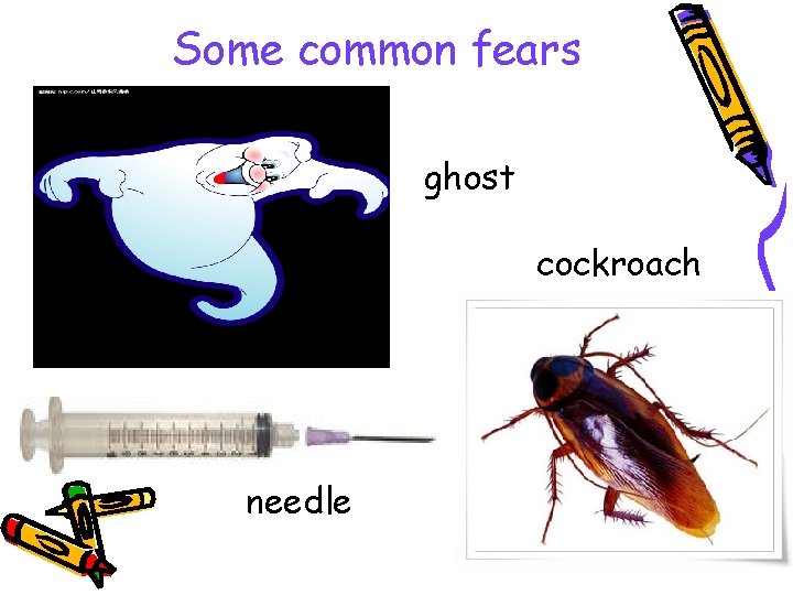 Some common fears ghost cockroach needle 