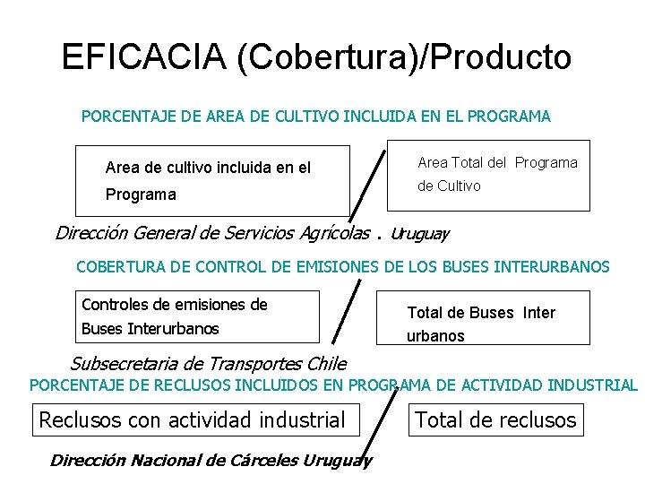 EFICACIA (Cobertura)/Producto PORCENTAJE DE AREA DE CULTIVO INCLUIDA EN EL PROGRAMA Area de cultivo EFICACIA (Cobertura)/Producto PORCENTAJE DE AREA DE CULTIVO INCLUIDA EN EL PROGRAMA Area de cultivo