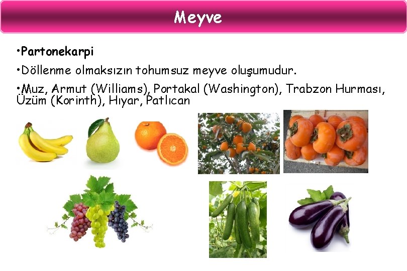 Meyve • Partonekarpi • Döllenme olmaksızın tohumsuz meyve oluşumudur. • Muz, Armut (Williams), Portakal