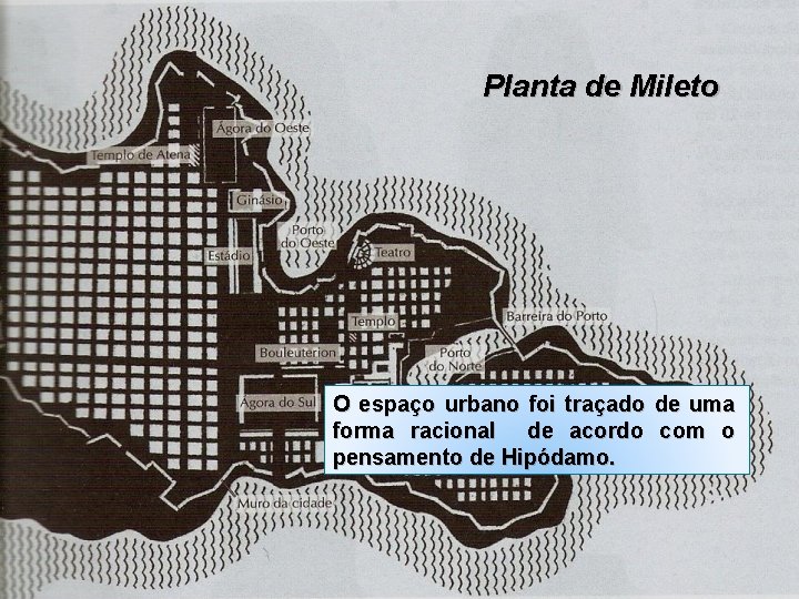 Planta de Mileto O espaço urbano foi traçado de uma forma racional de acordo