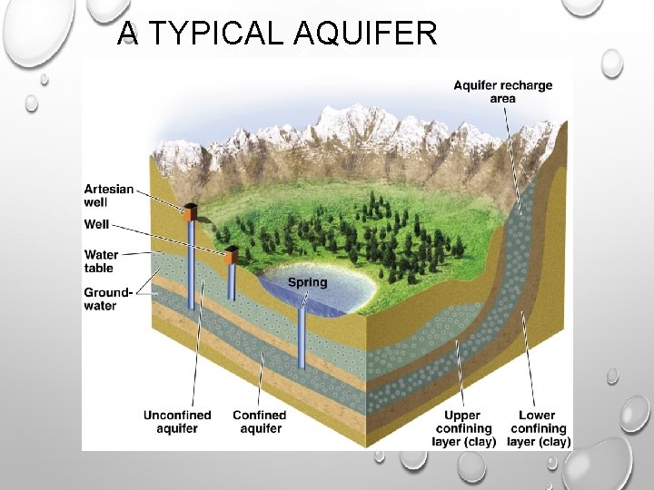 A TYPICAL AQUIFER 