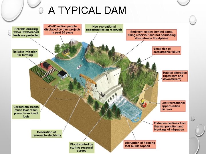 A TYPICAL DAM 