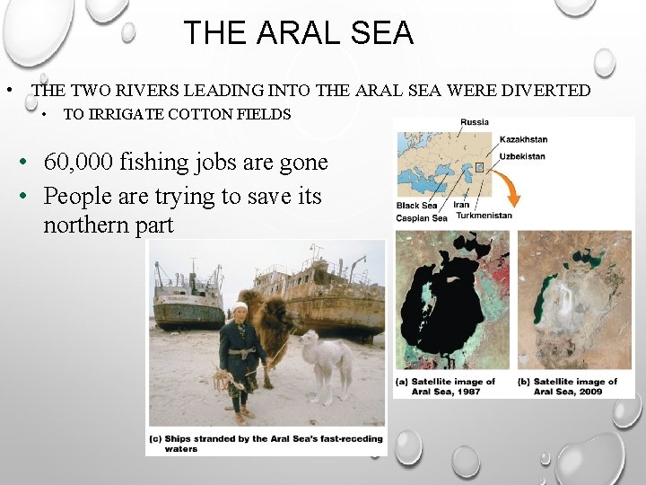 THE ARAL SEA • THE TWO RIVERS LEADING INTO THE ARAL SEA WERE DIVERTED