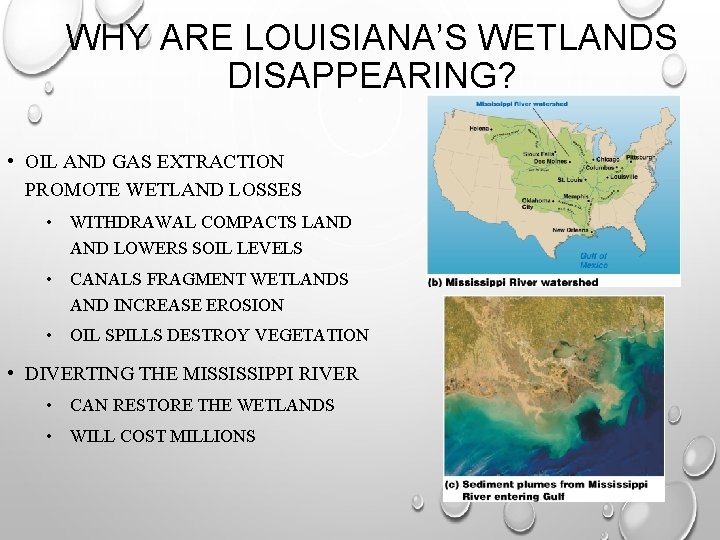 WHY ARE LOUISIANA’S WETLANDS DISAPPEARING? • OIL AND GAS EXTRACTION PROMOTE WETLAND LOSSES •