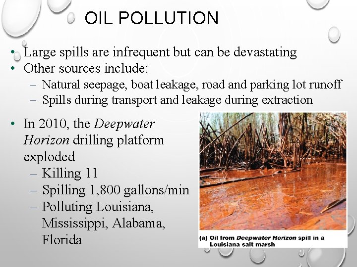 OIL POLLUTION • Large spills are infrequent but can be devastating • Other sources