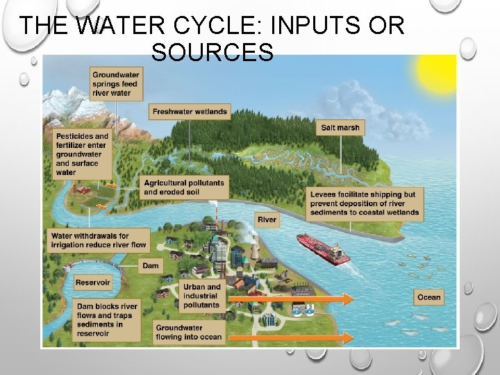 THE WATER CYCLE: INPUTS OR SOURCES 