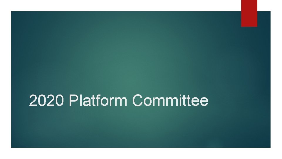 2020 Platform Committee 