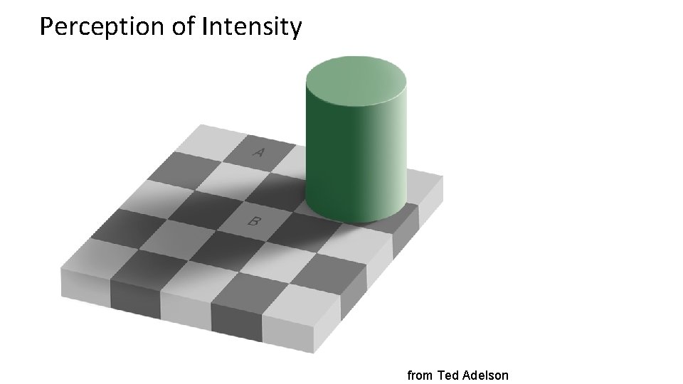 Perception of Intensity from Ted Adelson 