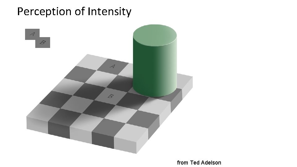 Perception of Intensity from Ted Adelson 