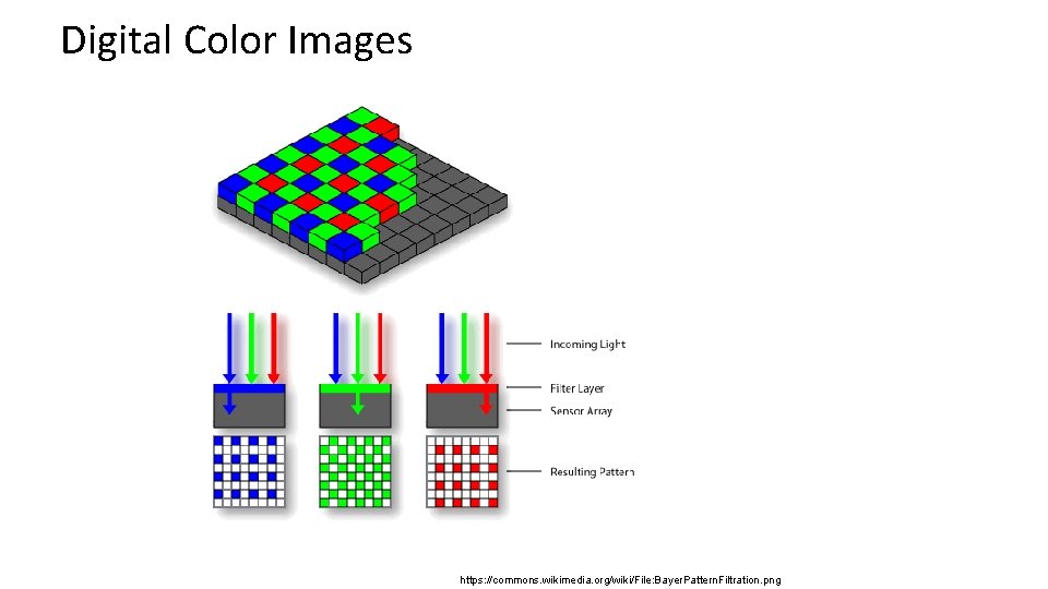 Digital Color Images https: //commons. wikimedia. org/wiki/File: Bayer. Pattern. Filtration. png 