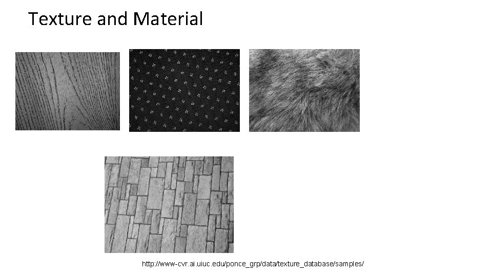 Texture and Material http: //www-cvr. ai. uiuc. edu/ponce_grp/data/texture_database/samples/ 