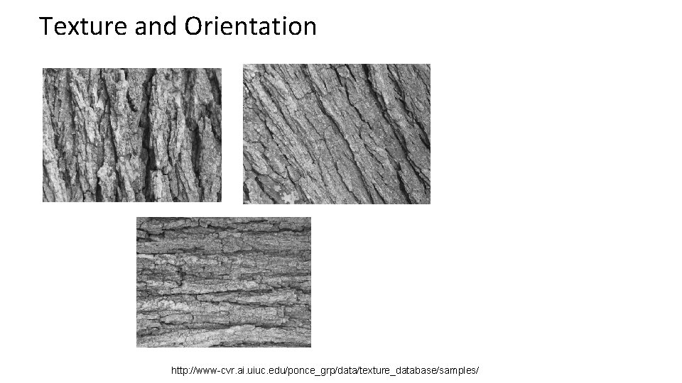 Texture and Orientation http: //www-cvr. ai. uiuc. edu/ponce_grp/data/texture_database/samples/ 