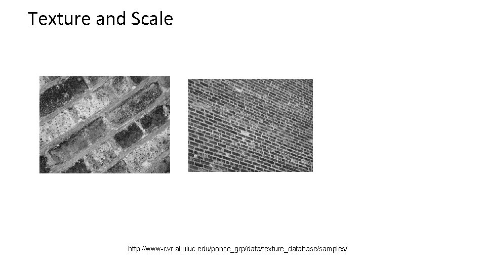 Texture and Scale http: //www-cvr. ai. uiuc. edu/ponce_grp/data/texture_database/samples/ 