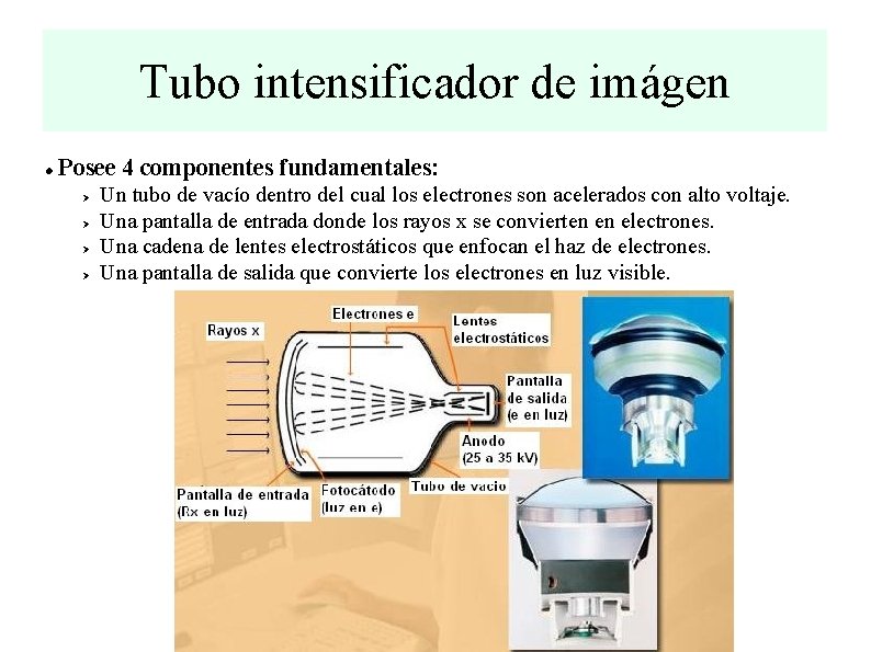 Tubo intensificador de imágen Posee 4 componentes fundamentales: Ø Ø Un tubo de vacío