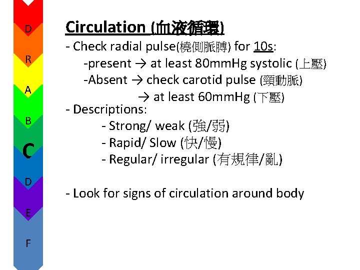 D R A B C D E F Circulation (血液循環) - Check radial pulse(橈側脈膊) D R A B C D E F Circulation (血液循環) - Check radial pulse(橈側脈膊)