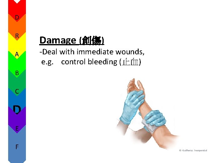 D R A B C D E F Damage (創傷) -Deal with immediate wounds, D R A B C D E F Damage (創傷) -Deal with immediate wounds,
