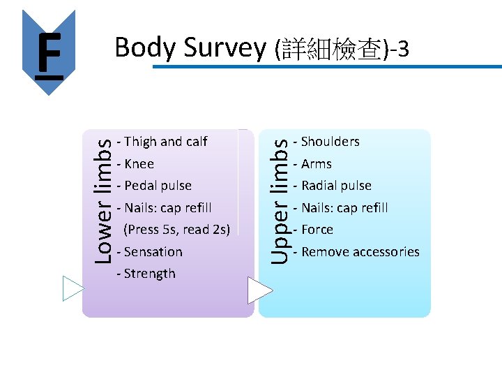 - Shoulders - Arms - Radial pulse - Nails: cap refill - Force - - Shoulders - Arms - Radial pulse - Nails: cap refill - Force -